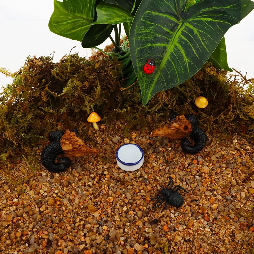 6 Pcs Spider Micro Water Bowl Mini Ceramic Dish for Spider Tarantula Millipede Tiny Reptile (Small: 0.86" D, 0.43" H) - Image 3
