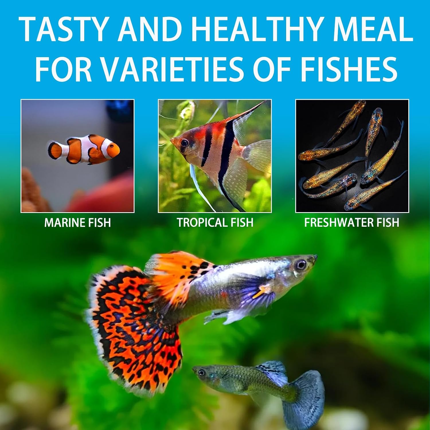 Brine Shrimp Fish Food, Ready to Use Aquarium Fish Food, Non-Living Instant Food for Betta Saltwater Marine Freshwater Fish (Adult Brine Shrimp) - Image 5