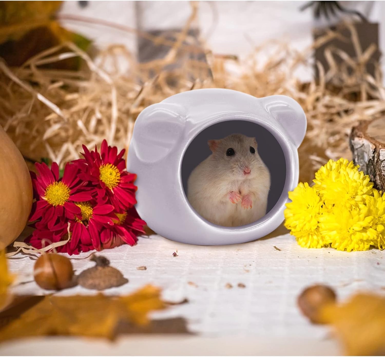 Ceramic Hamster House, Cute Animal Shaped Hamster Cave, Summer Cool Small Animal Hideout Habitat Decor for Dwarf Hamsters (Green) - Image 6