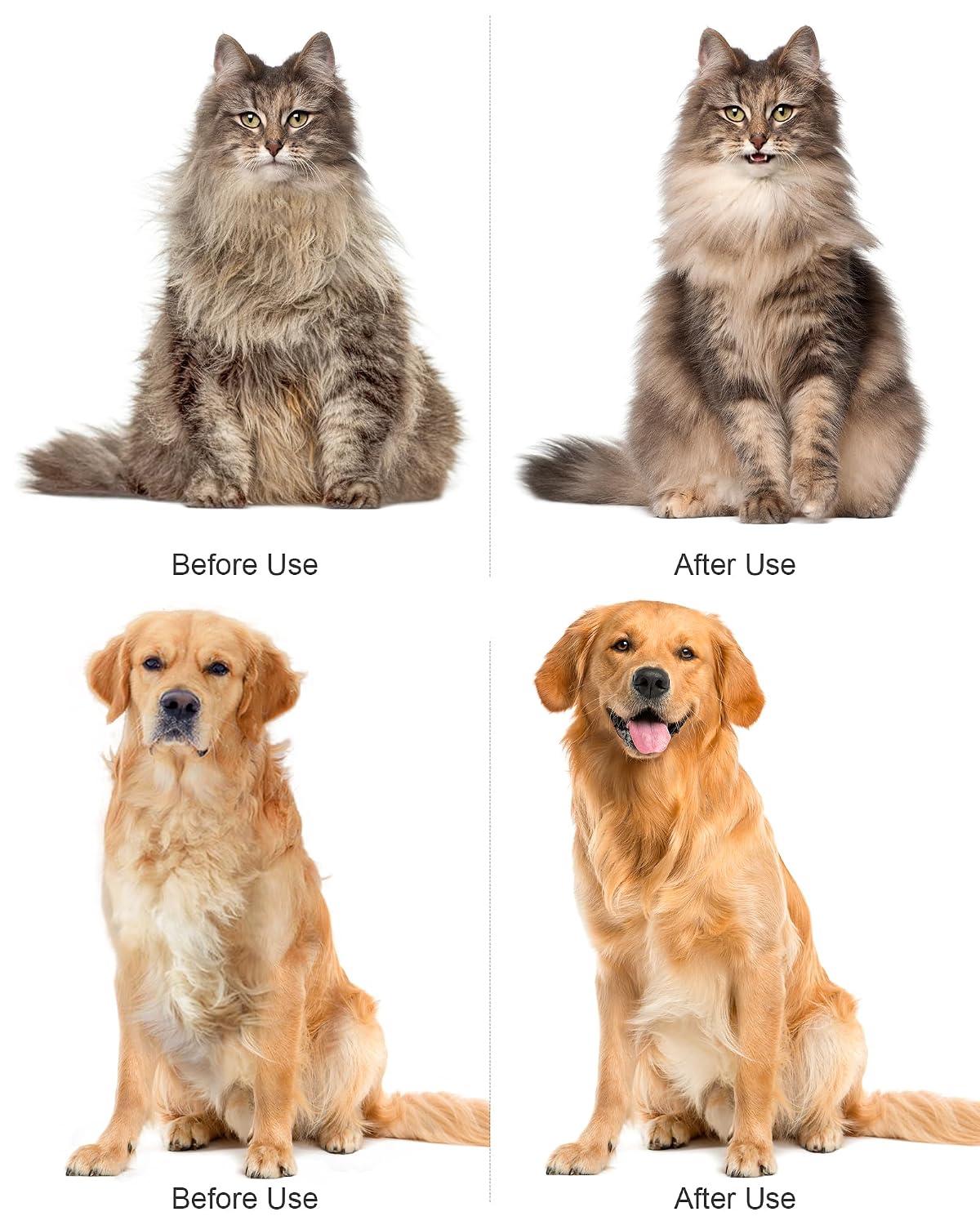 Pet Steam Brush Dog Cat 2026 New Grooming Comb for Shedding, Floating Hair, Smooth & Detangling, Gentle Cool Mist Softens Hair Reduces Static Helps Pets Who Dislike Bathing,Includes Waterless Shampoo - Image 6