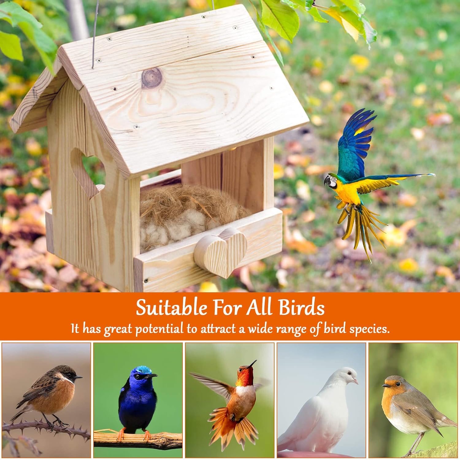 Sukh Bird Nesting Material - Bird Nests Bedding Hummingbird Nesting Material Mixing Canary Nesting Material Finch Nesting Material Parakeet Nesting Materials for Cage,Gardens,Tree Trunks (2) - Image 5