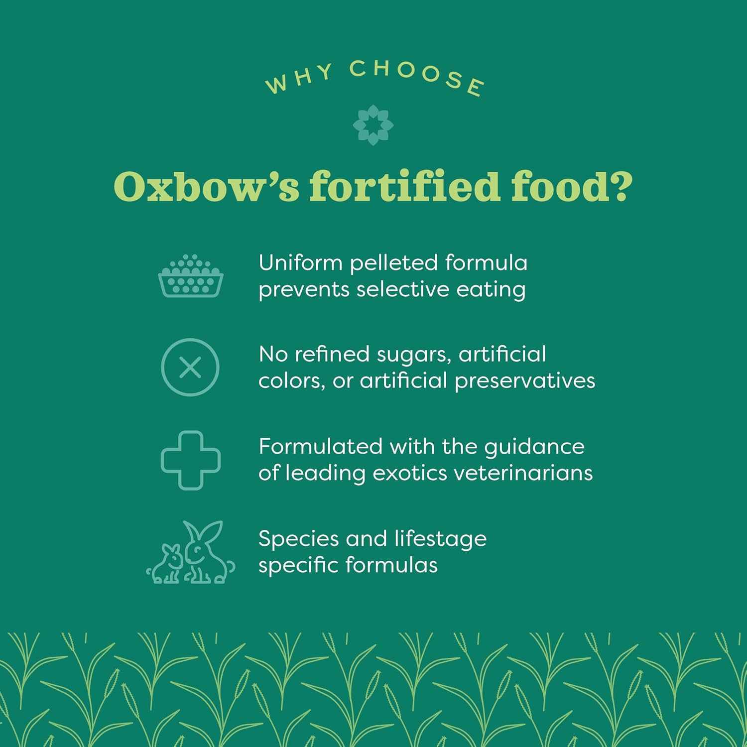 Oxbow Essentials Mouse & Young Rat Food, Pet Food for Rats & Mice, All-Natural Vitamin & Mineral Rich Formula, Veterinarian Recommended, Oxbow, Rodent Pellets, Made in USA, 2.5 lb Bag - Image 4