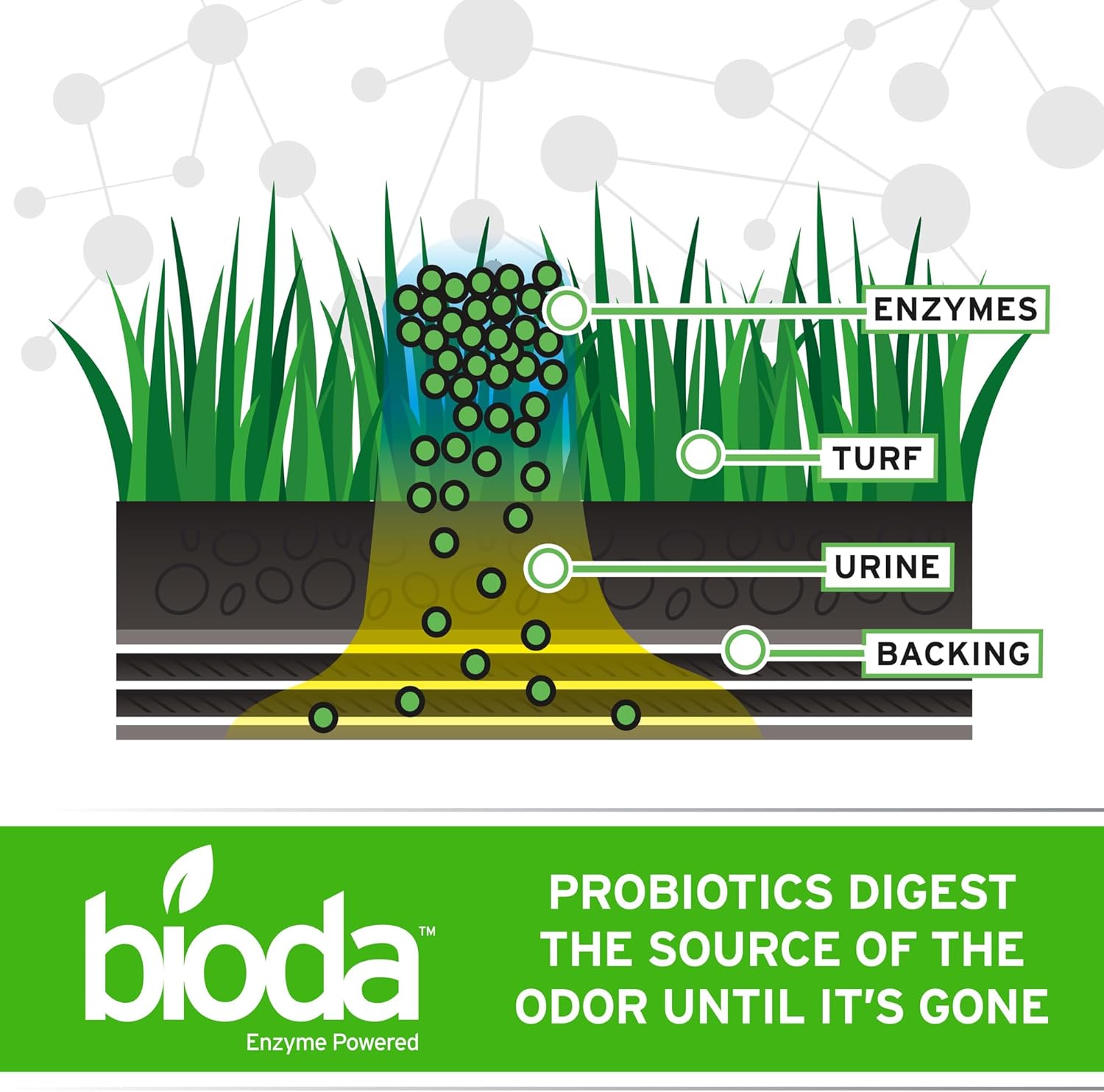Bioda Probiotic Natural Outdoor Odor Eliminator, 1 gal Refill | Enzyme Cleaner Destroys Cat & Dog Odor, Neutralizer for Lawn, Artificial Grass, and Patios - Image 4