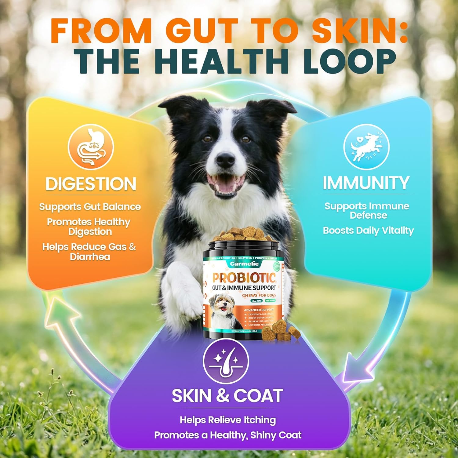Probiotics for Dogs, Dog Probiotics for Yeast, Itchy Skin and Itchy Ears, Allergies, Immunity, Dog Gut Health Probiotic for Digestive Enzymes & Prebiotics for Diarrhea & Gas Relief (Chicken, 200 Chew) - Image 5