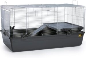 Prevue Pet Products Universal Small...