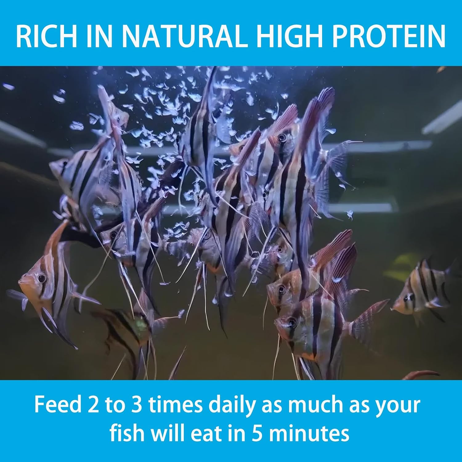 Brine Shrimp Fish Food, Ready to Use Aquarium Fish Food, Non-Living Instant Food for Betta Saltwater Marine Freshwater Fish (Adult Brine Shrimp) - Image 4