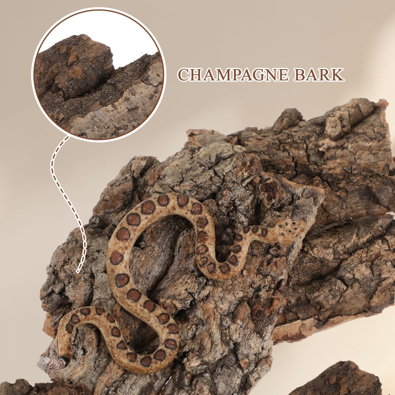 IMIKEYA 4Pcs Reptile Tree Bark Reptile Hides: Natural Wood Cork Bark Gecko Hide Small Climbing Barks Terrarium Decor Lizard Geckos Tortoise Birdcage Tank Accessories Water Tube Landscaping - Image 4