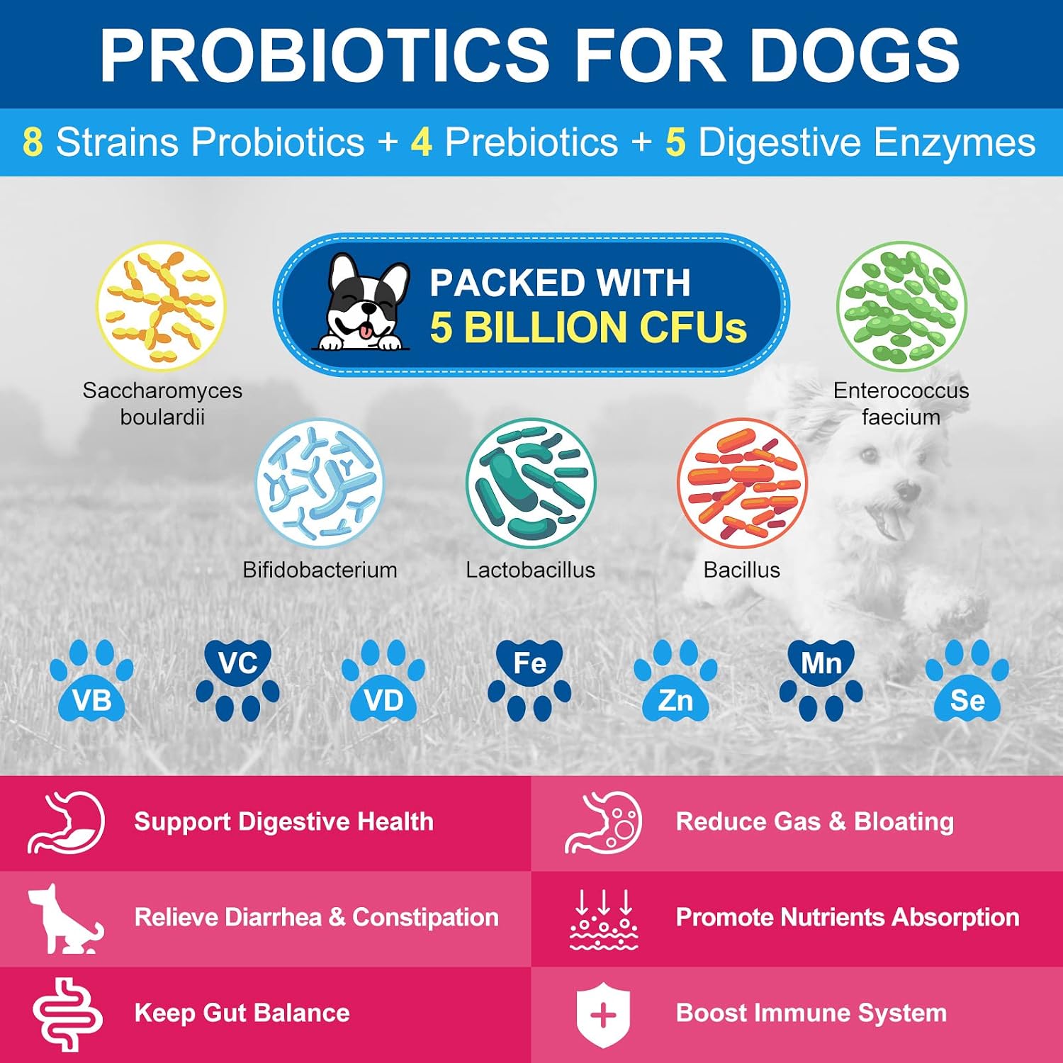 NATURE TARGET Dog Vitamins Powder, Probiotics & Digestive Enzymes for Gut Health, Glucosamine & Chondroitin & Omega 3, Complete Supplement for Homemade Dog Food, Joint & Skin & Immune Support - Image 4