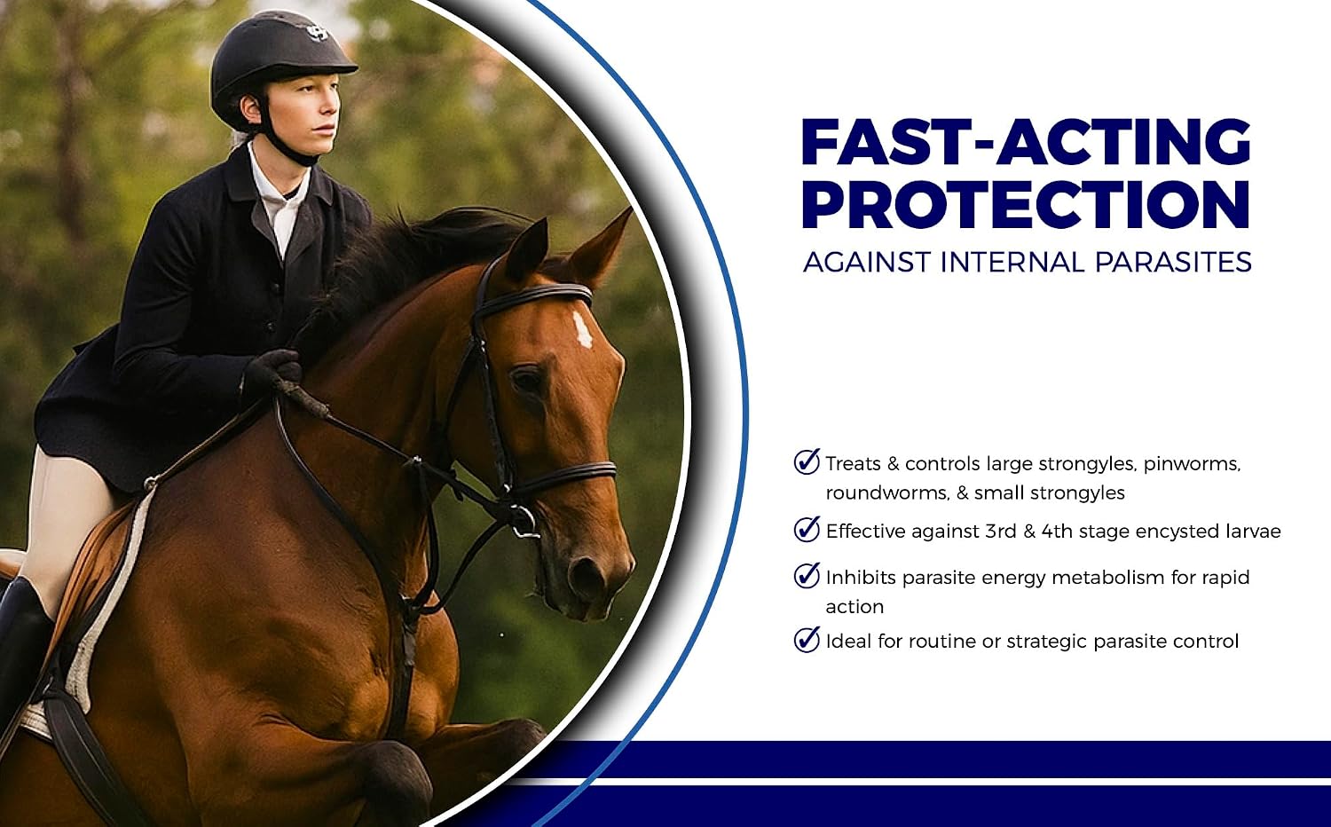 Horse Paste 10% – 4 Pack – 25g Syringes – Oral Deworming Paste for Horses of All Ages – Easy-to-Administer Equine Care - Image 3