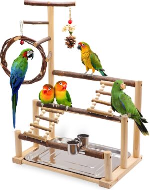 Bird Playground, Natural Wooden Par...