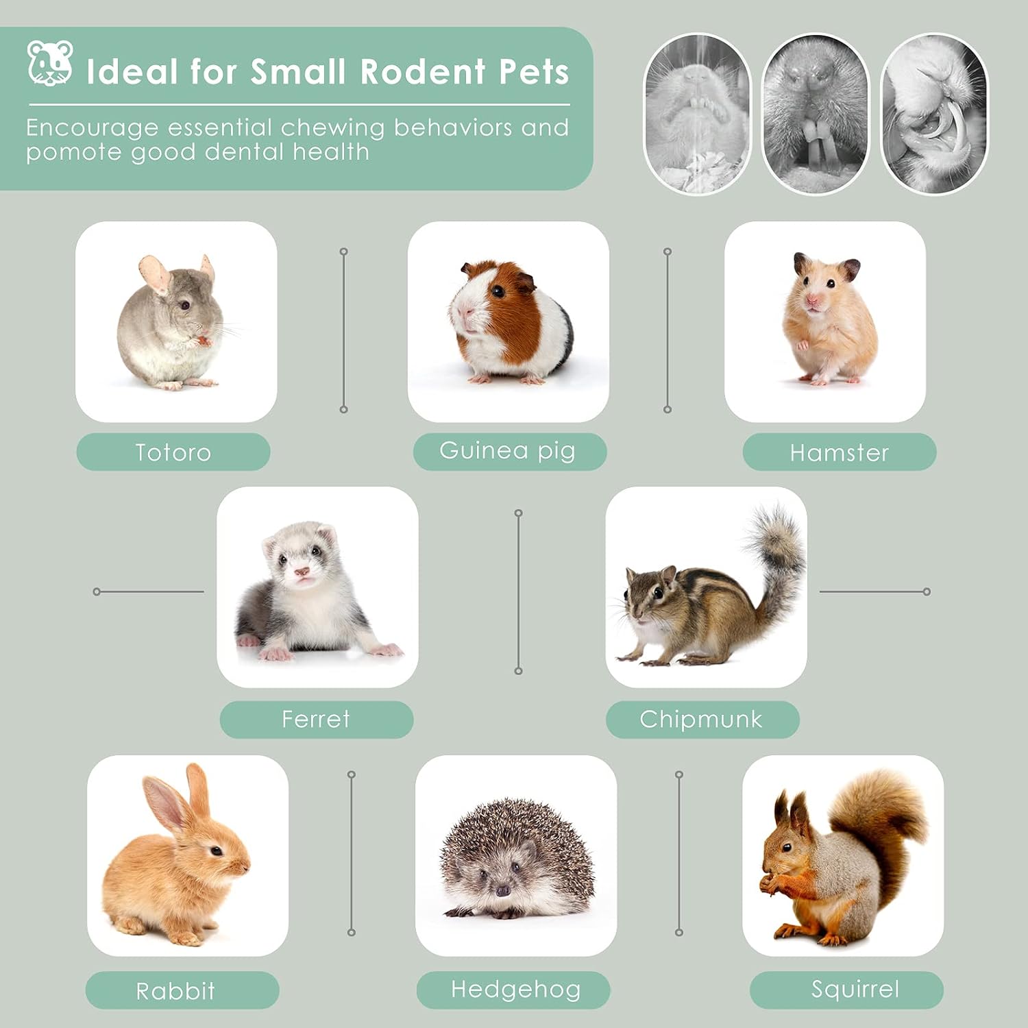Bissap Sweet Bamboo Chew Sticks for Rabbits 500g/1.1Ib, Bunny Molar Treats Snack for Small Animals Hamsters Chinchillas Guinea Pigs Squirrels Natural Teeth Grinding Toys - Image 7