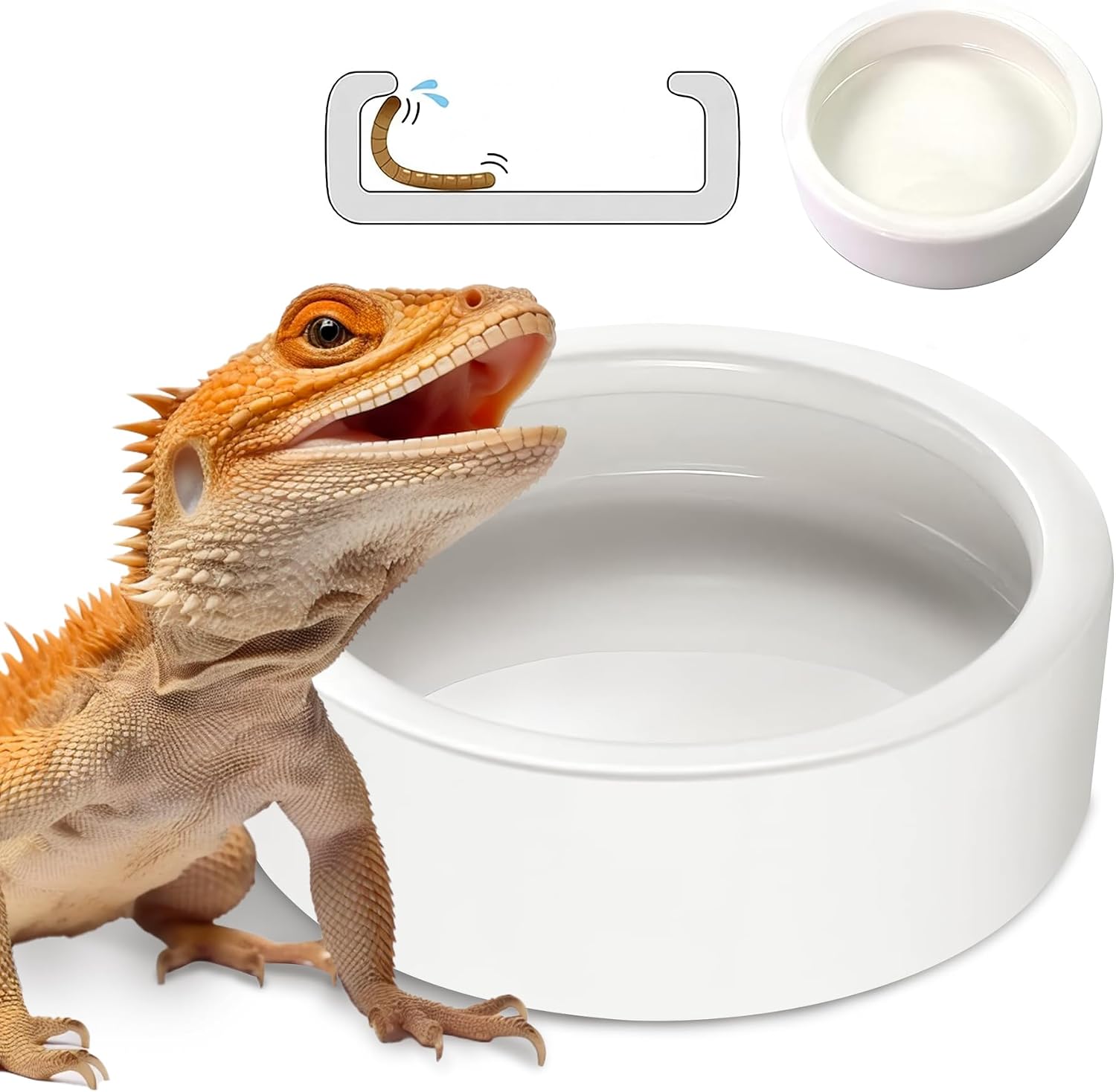 Reptile Food Bowl Lizard Gecko Ceramic Pet Worm Dish Water Bowls XL(5in) | Anti-Escape Mealworms Ceramic Dish for Bearded Dragon Chameleon Hermit Crab Dubia Cricket Feeding, Large Reptile Feeder