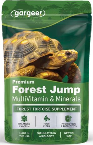 Gargeer Forest Jump – Forest ...