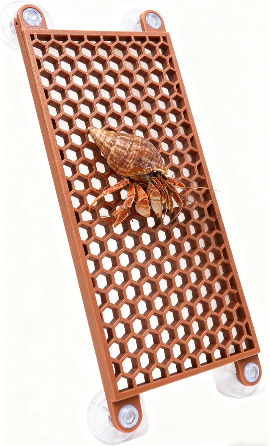 Hermit Crab Climbing Toy, Reptile Habitat Decor Exercise Playground Hermit Crab Accessories for Tank and Aquarium Decoration (Brown)