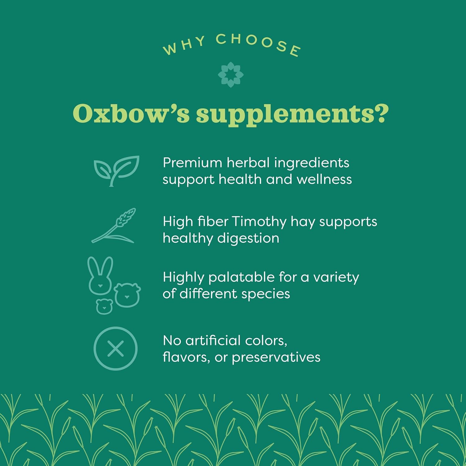 Oxbow Natural Science Vitamin C Supplement, Vitamin C & High-Fiber Timothy Hay, Guinea Pig Items, Made in the USA, Small Pet Supplies, Recommended by Veterinarians, 4.2 oz - Image 6