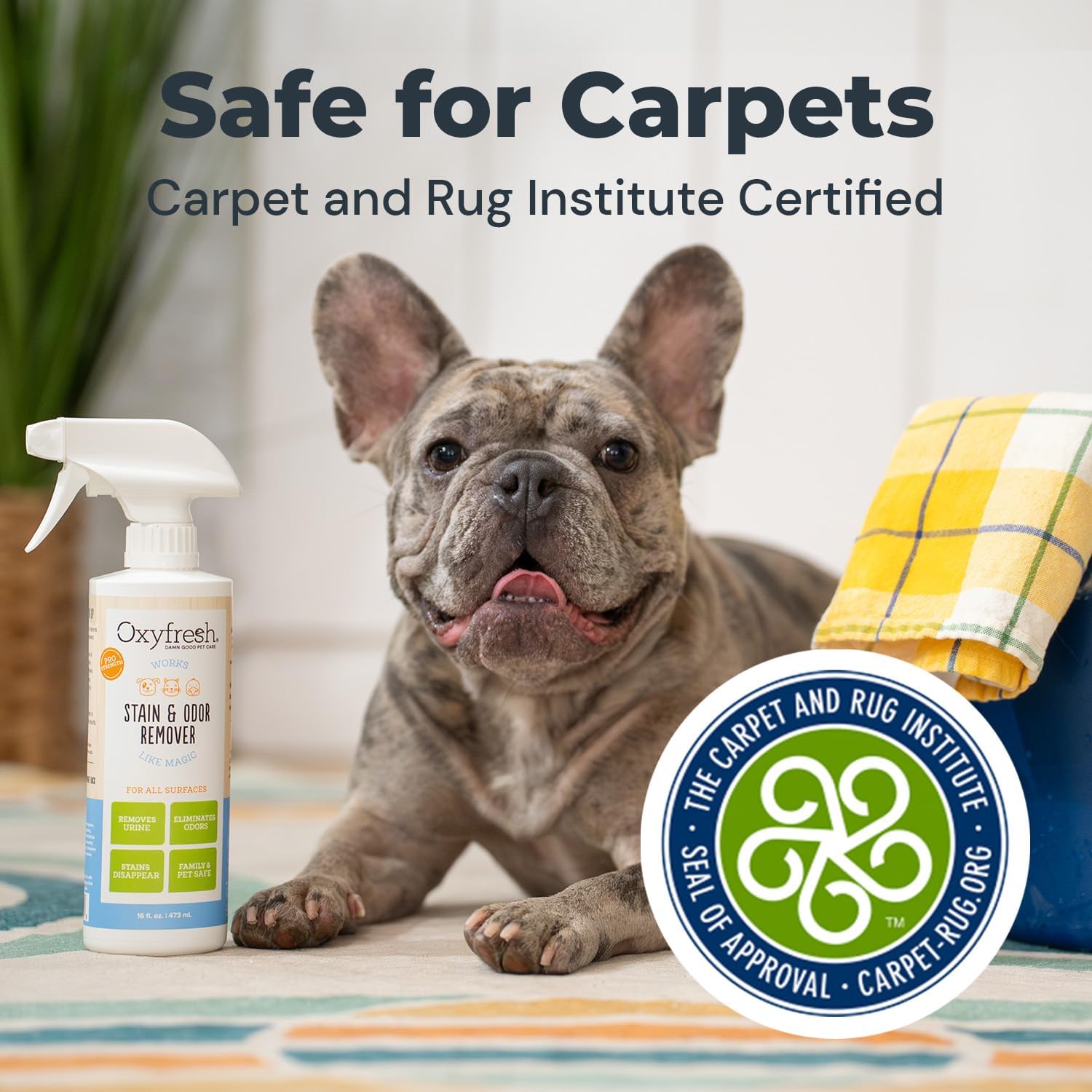 Oxyfresh Pet Stain & Odor Remover, Strong Carpet Stain Remover & Cleaner Spray – Advanced Pet Urine Odor Eliminator for Entire Home - Fast Acting Dog & Cat Urine Neutralizer - Image 7