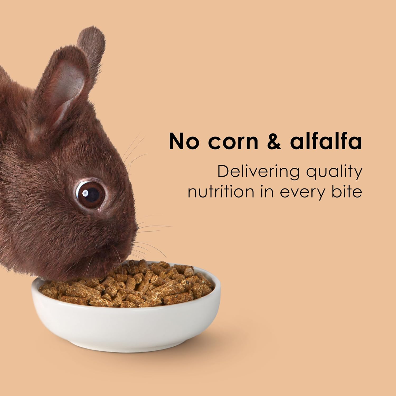 Kaytee Timothy Complete Rabbit Food, Made with Timothy Hay, High in Fiber, Supports Dental Health and Digestion, 9.5 pounds - Image 5