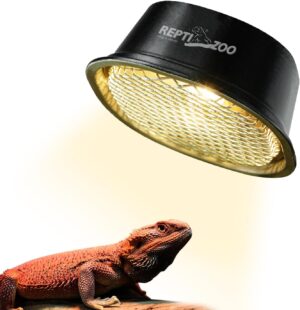 G9 Reptile Heat Lamp Bulb and Light...