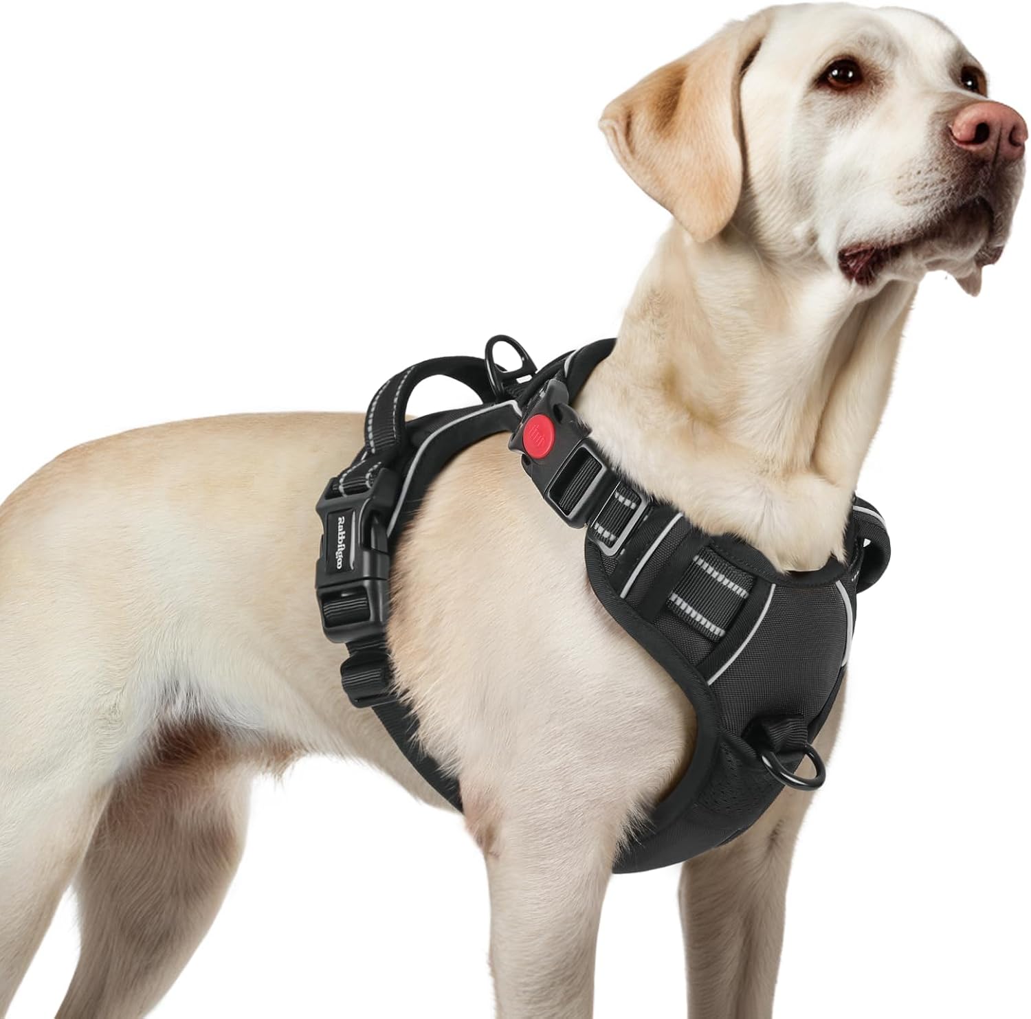 rabbitgoo Dog Harness for Large, No Pull Easy On & Off with 3 Buckles Pet Harness, Adjustable Soft Walking Vest with 2 Clips and Handle, Reflective for Large Dogs, Black, L