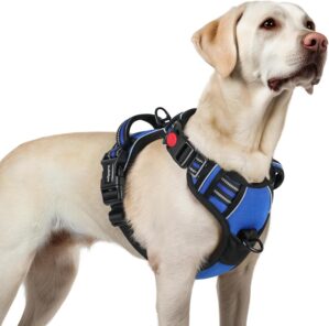 rabbitgoo Dog Harness for Large, No...