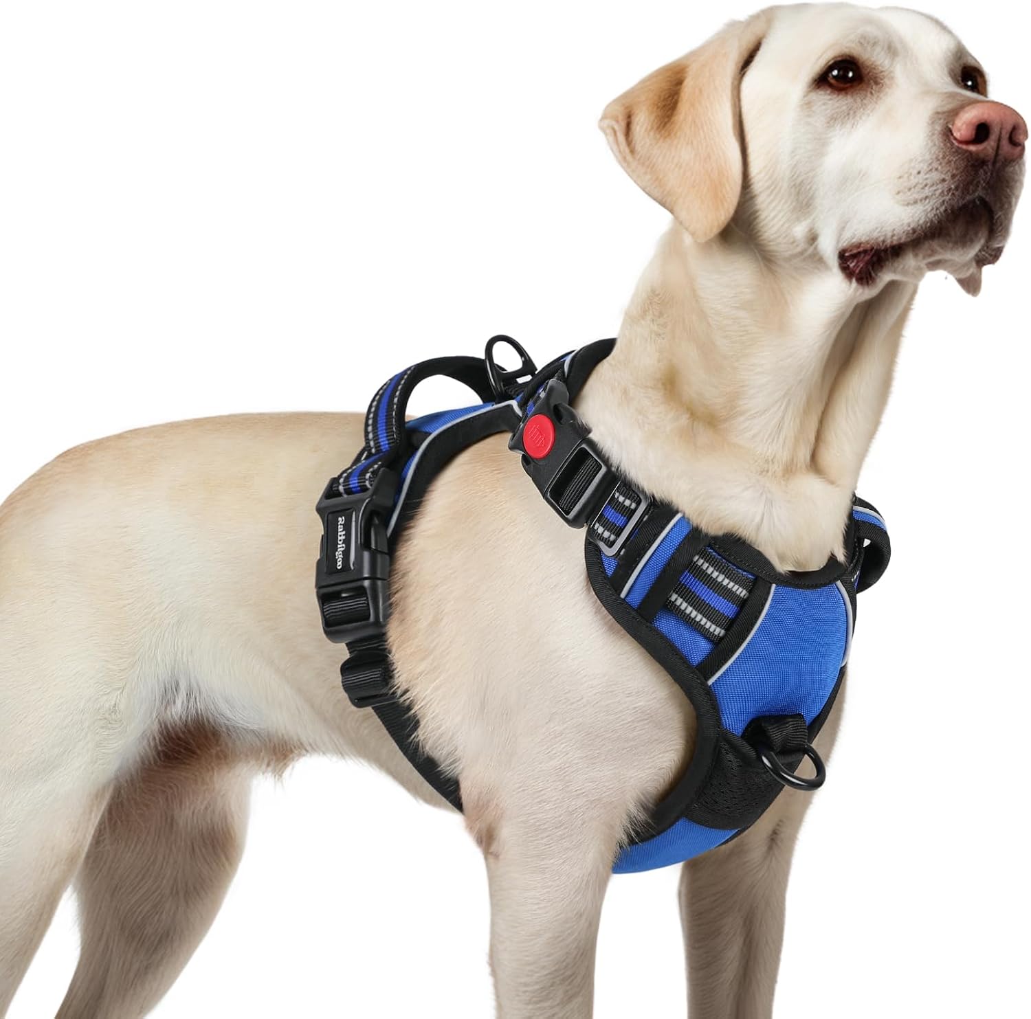 rabbitgoo Dog Harness for Large, No Pull Easy On & Off with 3 Buckles Pet Harness, Adjustable Soft Walking Vest with 2 Clips and Handle, Reflective for Large Dogs, Blue, L