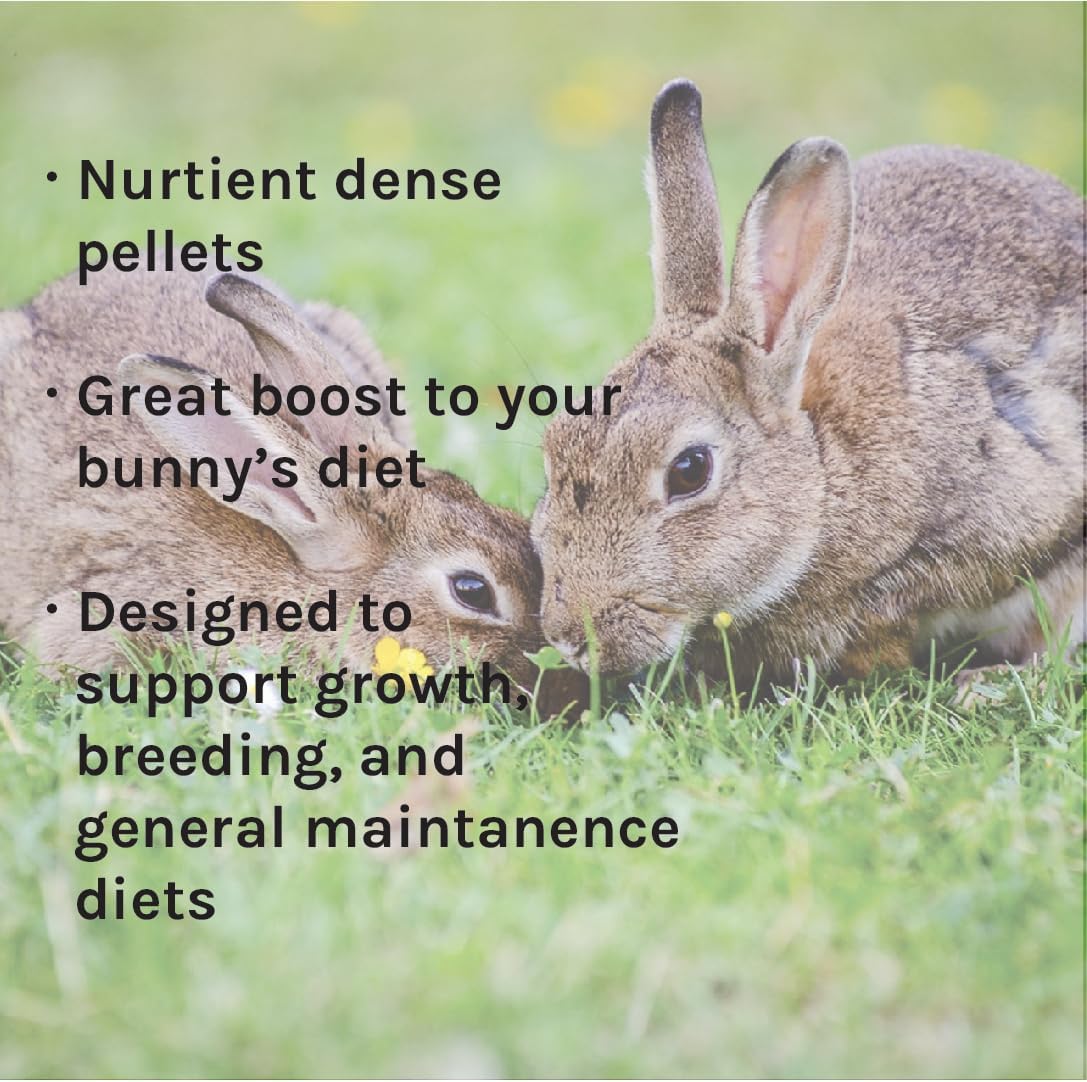 New Country Organics Rabbit Food Pellets | Essential Bunny Supplies | Corn-Free and Soy-Free | 15% Protein Rabbit Feed for Healthy Hoppers | Certified Organic and Non-GMO | 40 lbs - Image 5