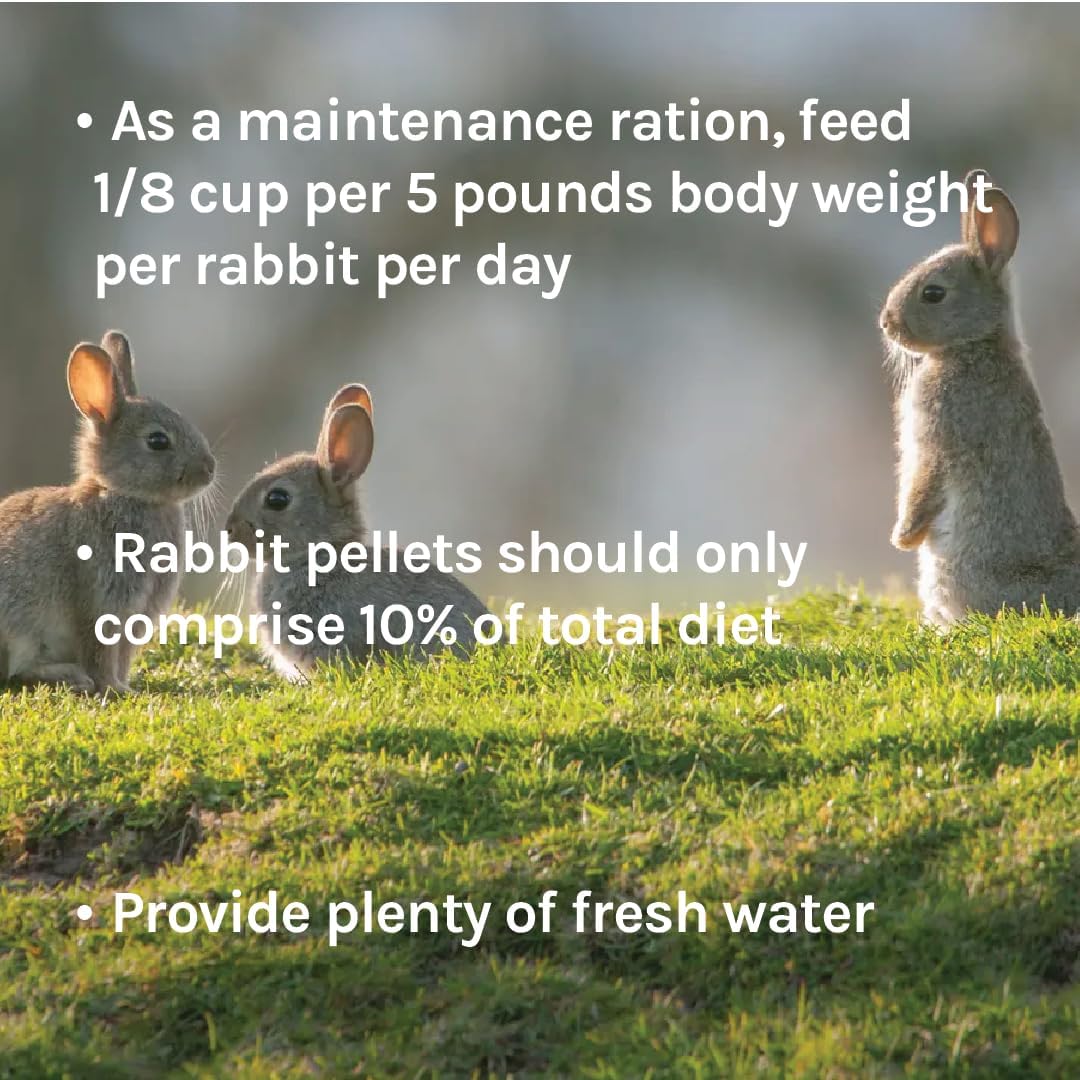 New Country Organics Rabbit Food Pellets | Essential Bunny Supplies | Corn-Free and Soy-Free | 15% Protein Rabbit Feed for Healthy Hoppers | Certified Organic and Non-GMO | 40 lbs - Image 6