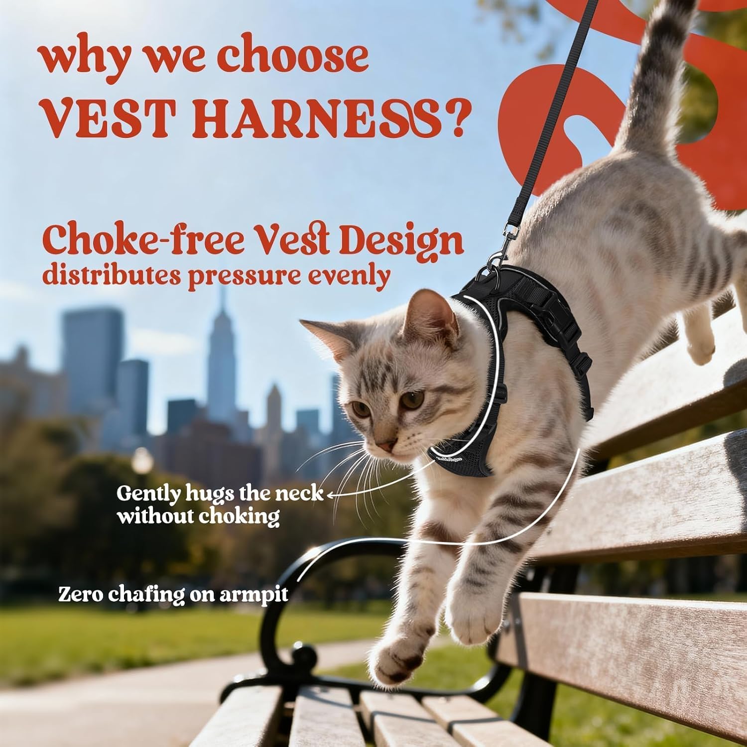 rabbitgoo Cat Harness and Leash Set, Escape Proof Vest, Black | Soft Breathable Mesh, Easy Adjustable Fit, Snap Buckles, Sturdy Clip, Reflective Strips, for Small & Average Cats Walks, Xs - Image 3