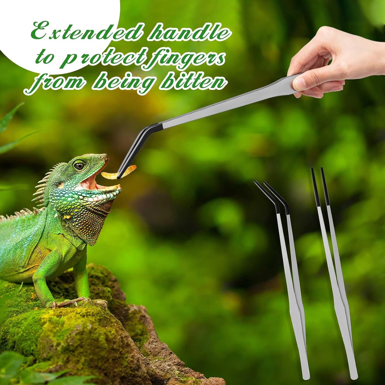 Lasnten 2 Pcs Extra Long Stainless Steel Reptile Feeding Tongs with Rubber Tip 15 Inch Bearded Dragon Aquarium Straight and Curved Long Tweezer Terrarium Feeder Tool for Tank(Silver) - Image 3