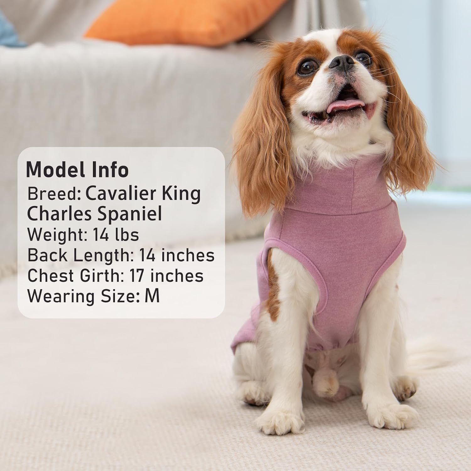 KYEESE 2Pack Dog Sweater Soft Dogs Clothes Warm Pets Clothes Turtleneck Pets Coats Dog Sweaters for Small Dogs Girl Pullover Small Pet Sweaters Stretchy Pet Sweatshirt - Image 4