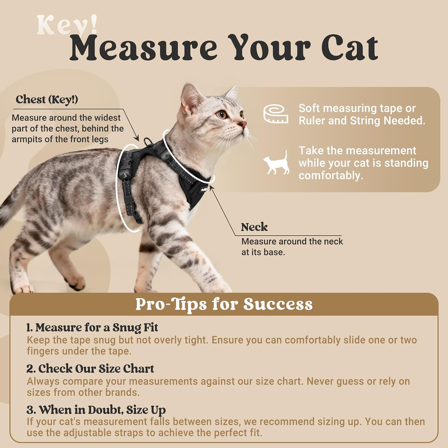 rabbitgoo Cat Harness and Leash, Easy-on with Neck Buckle, Black | Escape Proof, No Over-the-head, Soft Air Mesh, 3 Lockable Adjusters & Buckles, Reflective, for Medium to Large Cats Walks, M - Image 2