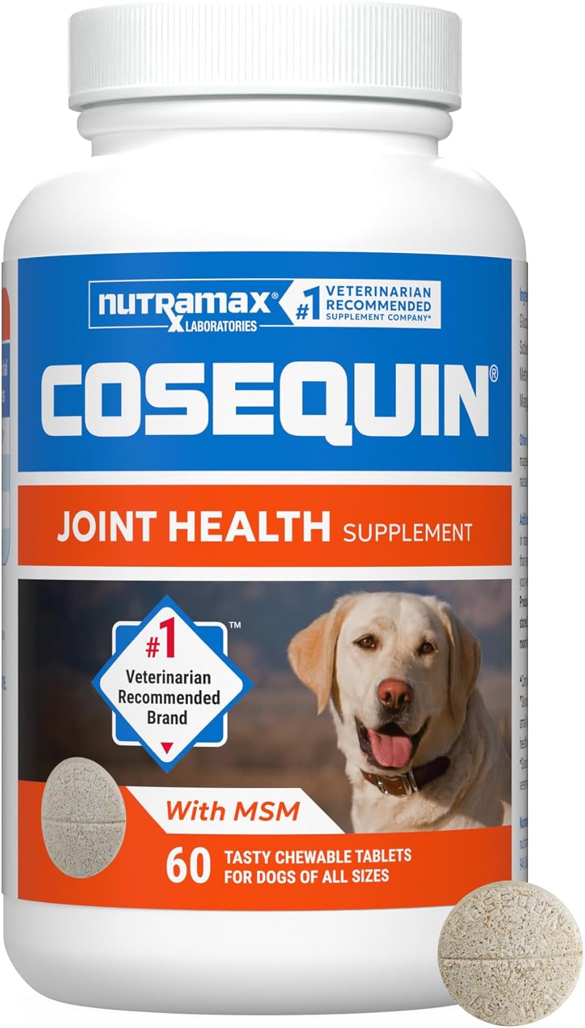 Nutramax Cosequin for Dogs Joint Health Supplement, Contains Glucosamine for Dogs, Plus Chondroitin and MSM, Supports Healthy Joints, Chewable Tablets, 60 Count