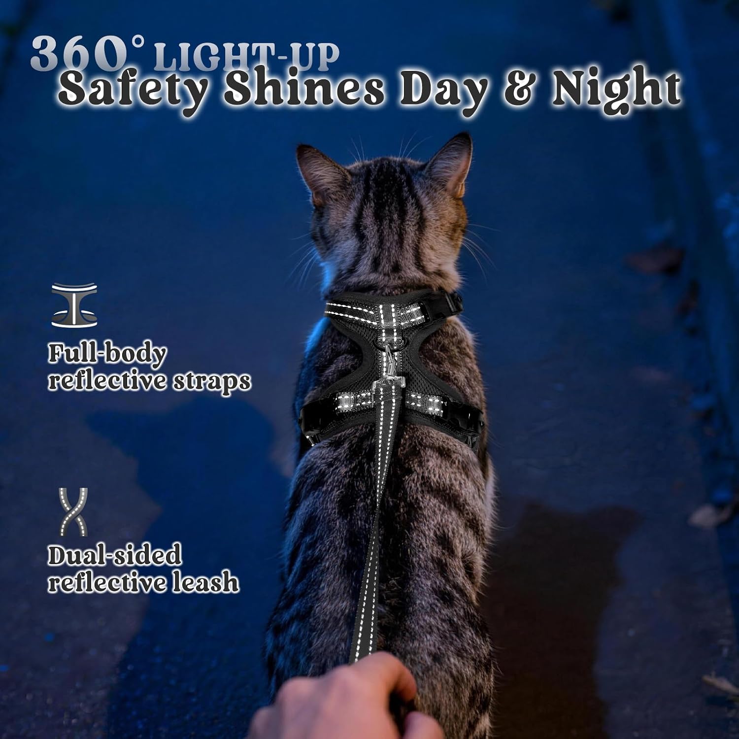 rabbitgoo Cat Harness and Leash, Easy-on with Neck Buckle, Black | Escape Proof, No Over-the-head, Soft Air Mesh, 3 Lockable Adjusters & Buckles, Reflective, for Medium to Large Cats Walks, M - Image 7