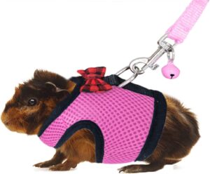 Rypet Ferret Harness and Leash R...