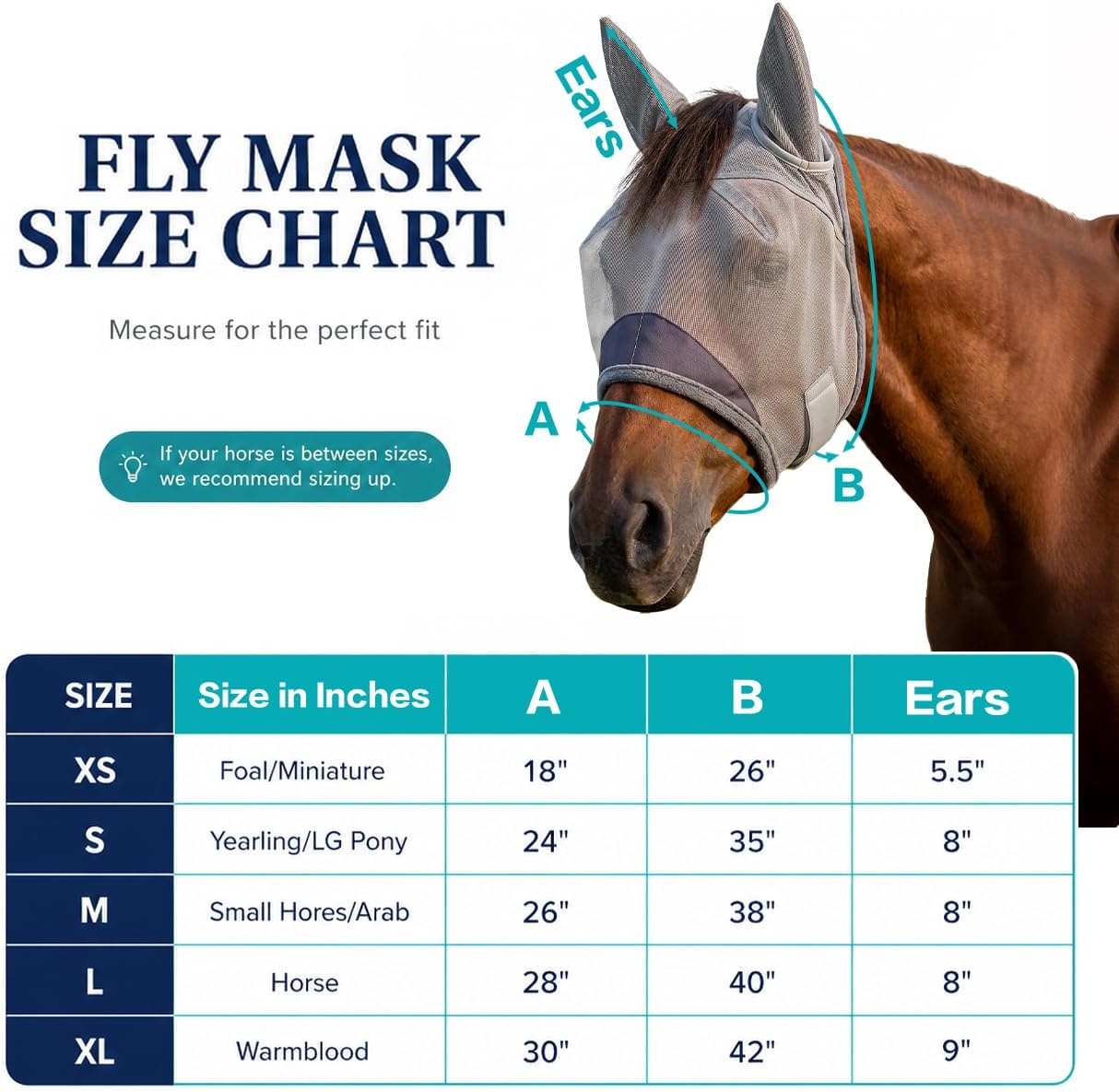 Horse Fly Mask with Ears - UV Protection Fine Mesh Super Comfort Fly Masks for Horses, Adjustable Breathability Horses Masks, Pony Equine Fly Mask for Miniature Foal Draft Cob Srabian Full (Gray, L) - Image 5
