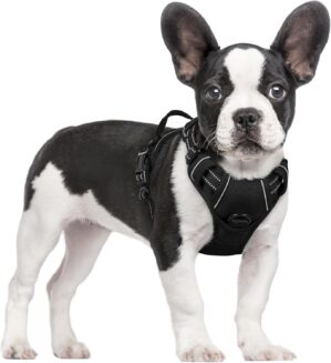 rabbitgoo Dog Harness No Pull with ...