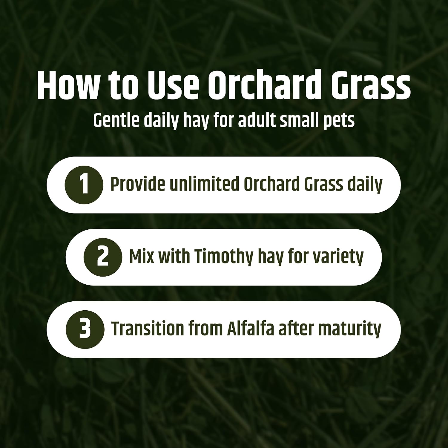 High Desert Orchard Grass Hay, Natural Orchard Hay for Rabbits Guinea Pigs Hamsters and Chinchillas, Soft Leaf Texture for Grazing and Foraging, Small Pet Supplies, Fresh Hand Packed Hay Box, 4 Lb - Image 7