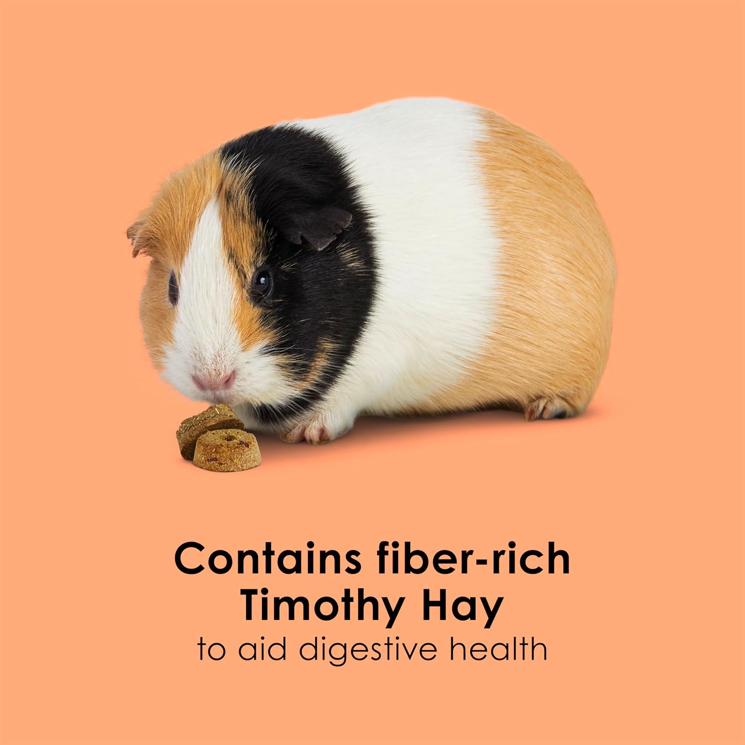 Kaytee Super C Bites Treat For Pet Guinea Pigs, Adult Rabbits, Chinchillas, and Other Small Animals, Cranberry and Orange, 4 oz - Image 3