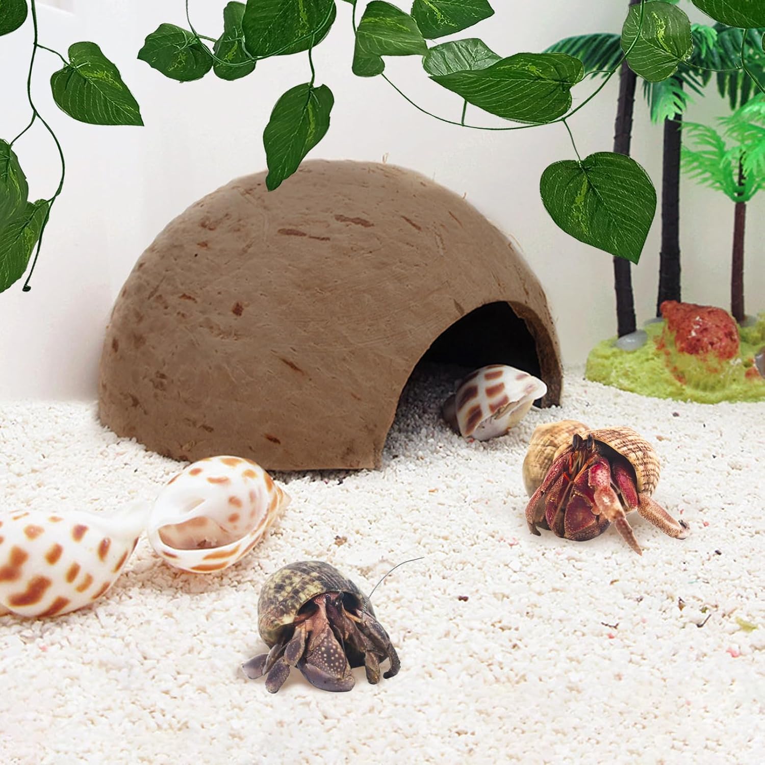 Hamiledyi 7 Pcs Reptile Hideouts Natural Coconut Shells Hut Leopard Gecko Tank Accessories for Aquarium Fish Hermit Crab Hide Cave Small Snake Tarantulas Lizard Chameleon (Without Fiber) - Image 5