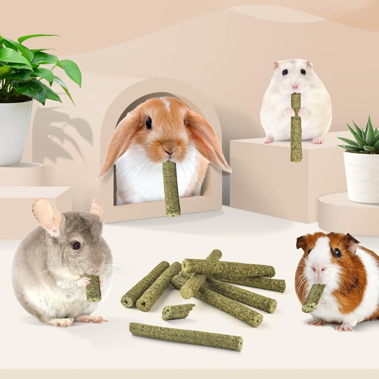 Bissap Timothy Hay Sticks for Rabbits 38PCS, Natural Timothy Grass Molar Teeth Stick Chew Toys for Bunnies Chinchillas Guinea Pigs Hamsters and Other Small Animals Treats - Image 6