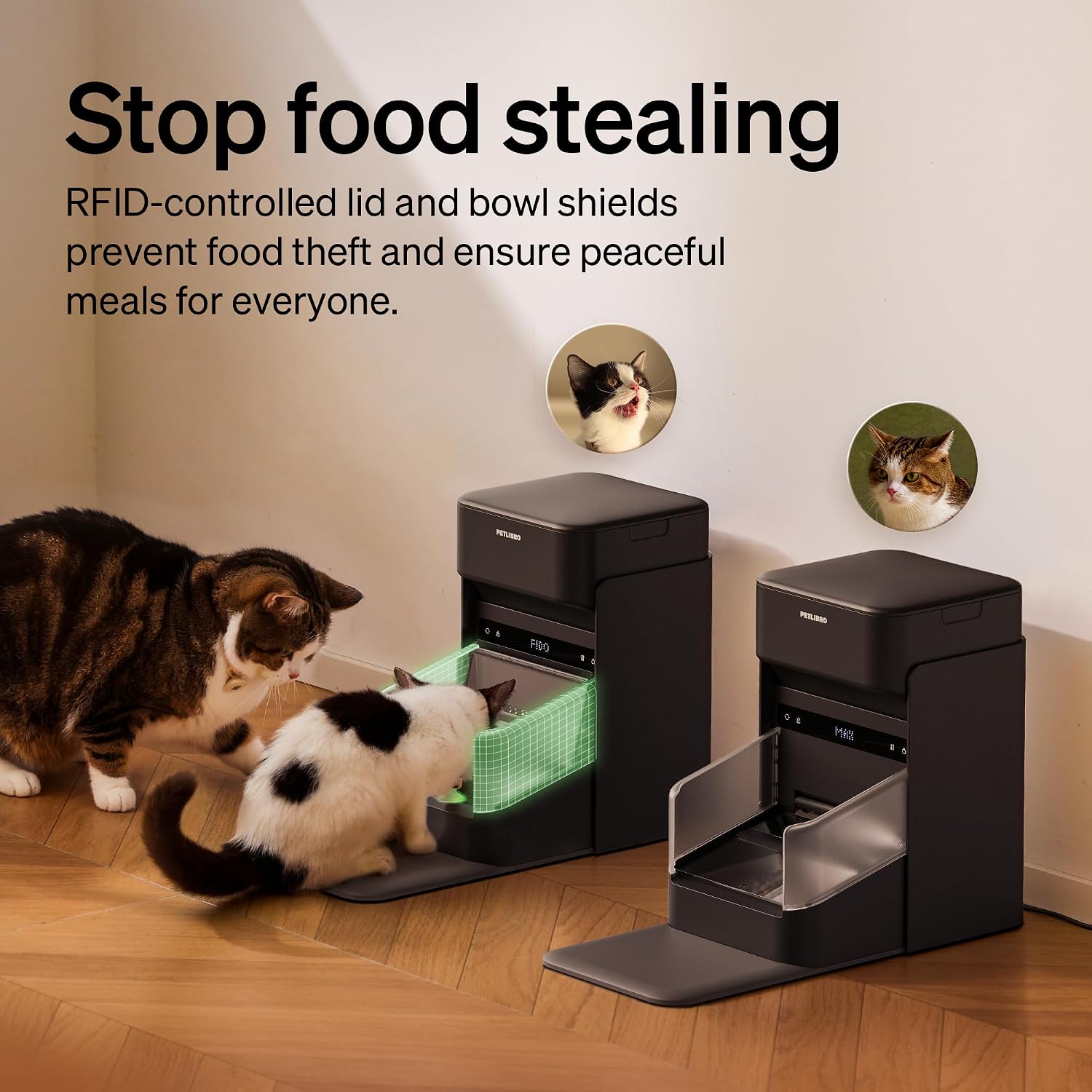 PETLIBRO RFID Automatic Cat Feeder, Collar Sensor for Personalized Meals, Cats Recognition, Diet Tracking and Anti-Stealing for Multi-Pets Homes and Different Diets, Wi-Fi Programmable Food Dispenser - Image 4