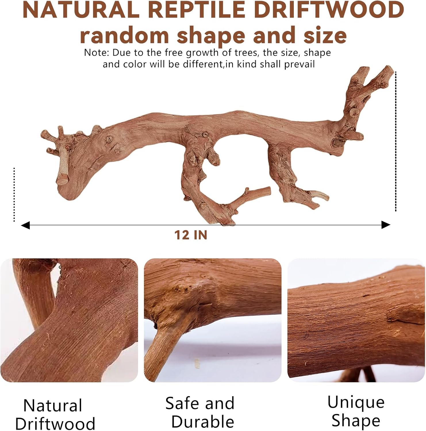 BNOSDM 2PCS Reptile Wood Branches Decor,Lizard Habitat Natural Wood Decoration,Snake Climbing Branch Accessories,Terrarium Tree Trunk Ornament for Bearded Dragon Gecko Frog Chameleon Spider - Image 3