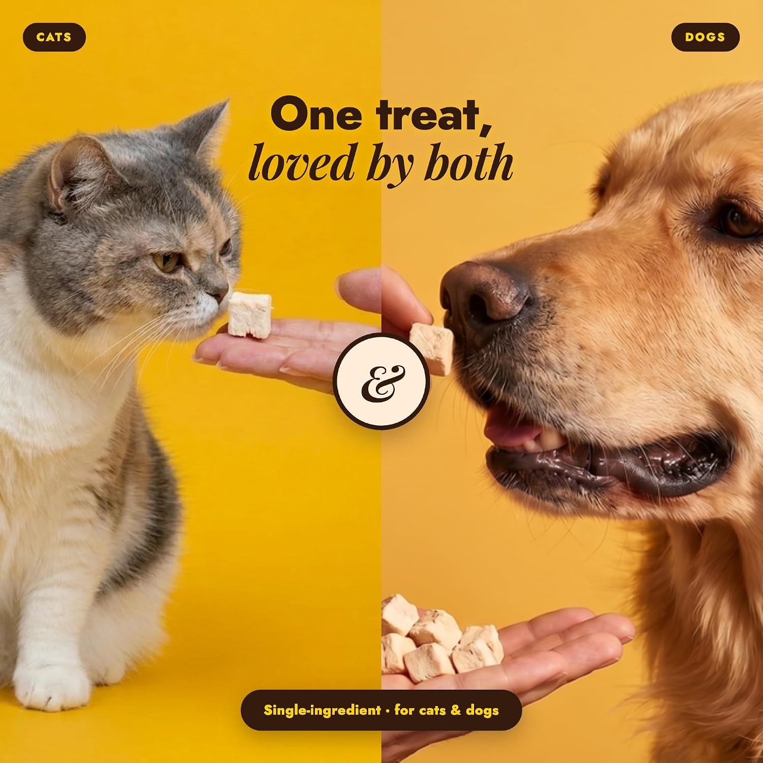 Freeze-Dried Raw Chicken Treats for Dogs and Cats, 1.76 oz | Single ingredient, grain free, high protein training treat and meal topper - Image 7