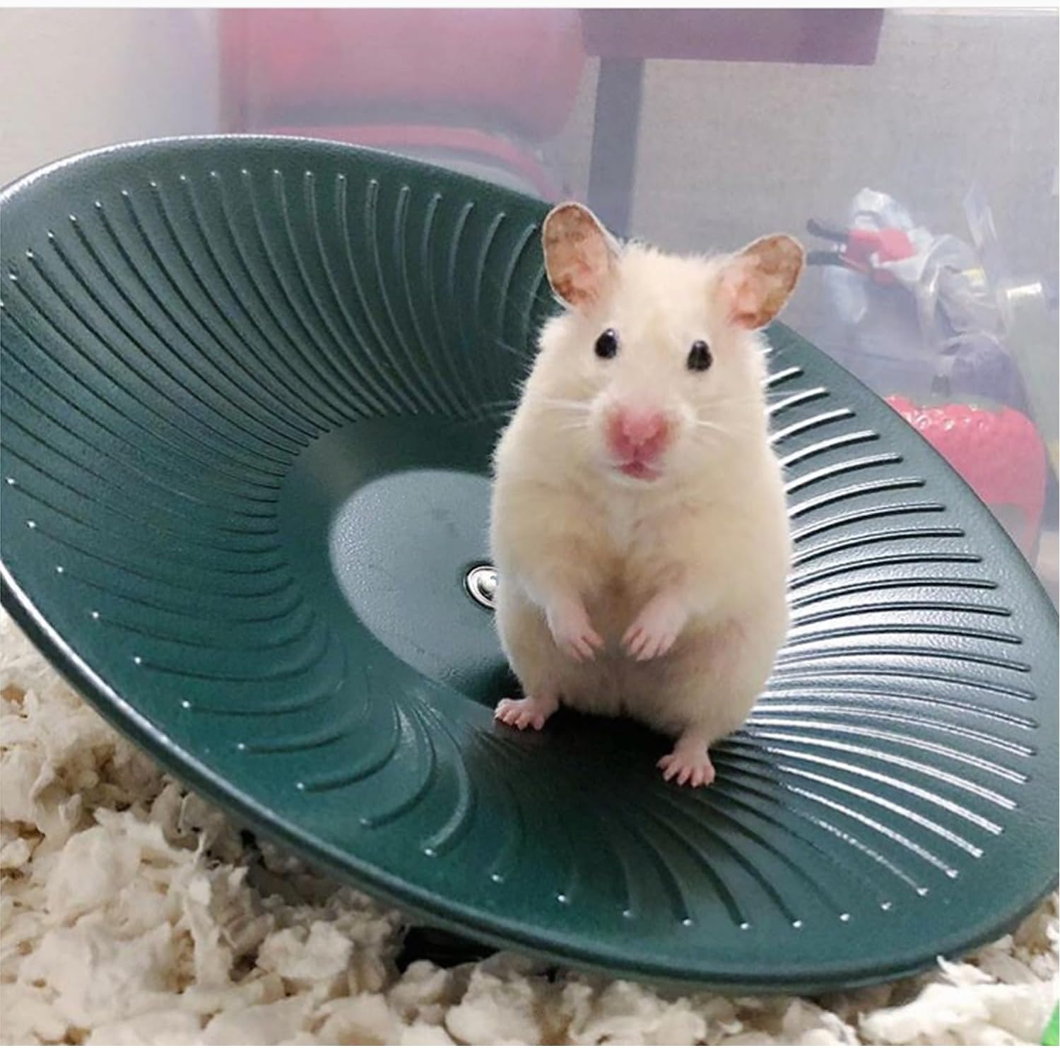 Treadmill Wheel 14" Black - All Metal Exercise Wheel for Chinchillas, Prairie Dogs, Rats, Hedgehogs, Sugar Gliders, Squirrels, Degus, Hamsters & Other Small Animals - Smooth, Fast, Silent, Durable - Image 6