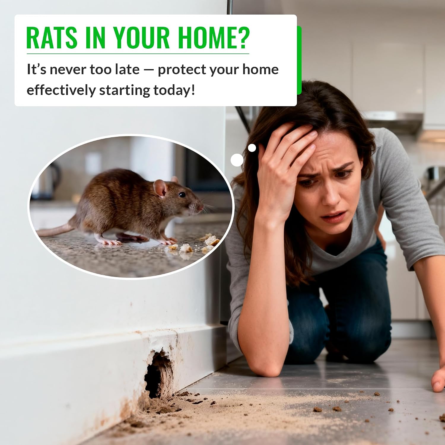 Mice&Co Rat Bait Stations 2 Pack – Lockable Rodent Traps for Outside & Inside – Heavy Duty, Weather-Resistant Bait Boxes with Dual Entry – Tamper-Proof Design – Child & Pet Safe - Image 5