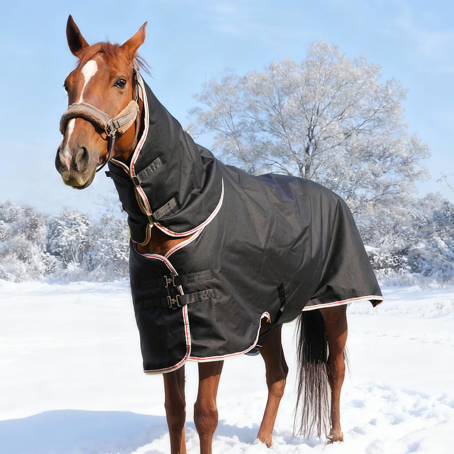 Equoray Horse Rug Fly Sheet Waterproof Rainproof Mosquito Repellent Breathable Turnout Blanket for Horses All Season Use - Multiple Sizes, Black - Image 5