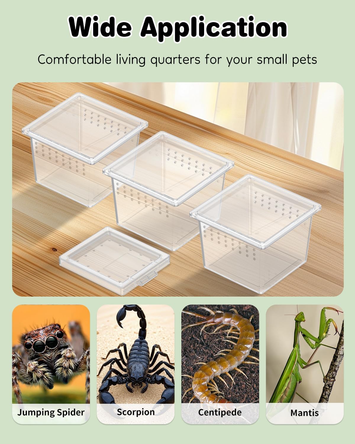 Pawfly 20 Pcs Mini Spider Terrarium Breeding Box, Transparent Plastic Jumping Spider Enclosure Cricket Keeper Tarantula Enclosure, Small Reptile Hatching Container for Scorpion Centipede Gecko Mantis - Image 8
