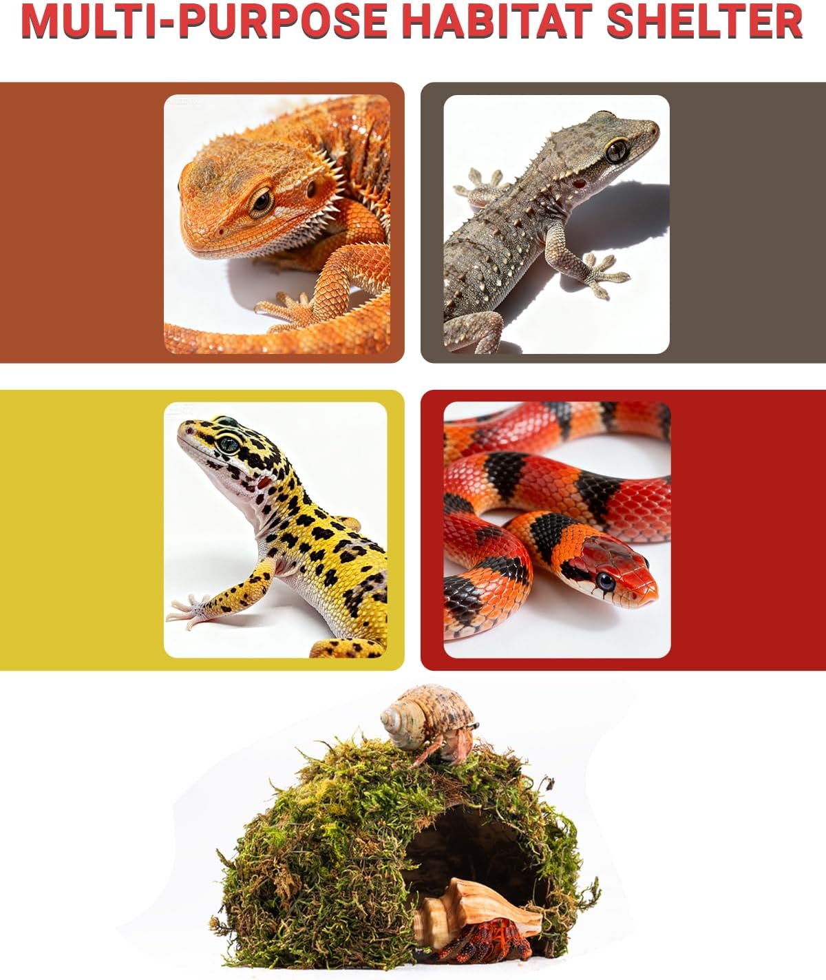 Reptile Hides and Caves – Leopard Gecko Tank Accessories, Natural Dome Reptile Cave & Shelter, Gecko Tank Accessories & Hermit Crab Shelter, Hamster Cage Accessories - Image 4