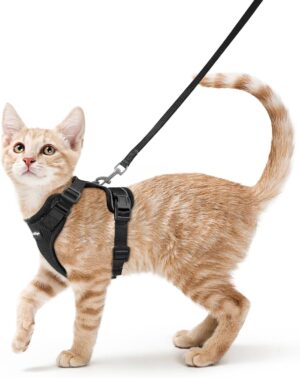 rabbitgoo Cat Harness and Leash Set...