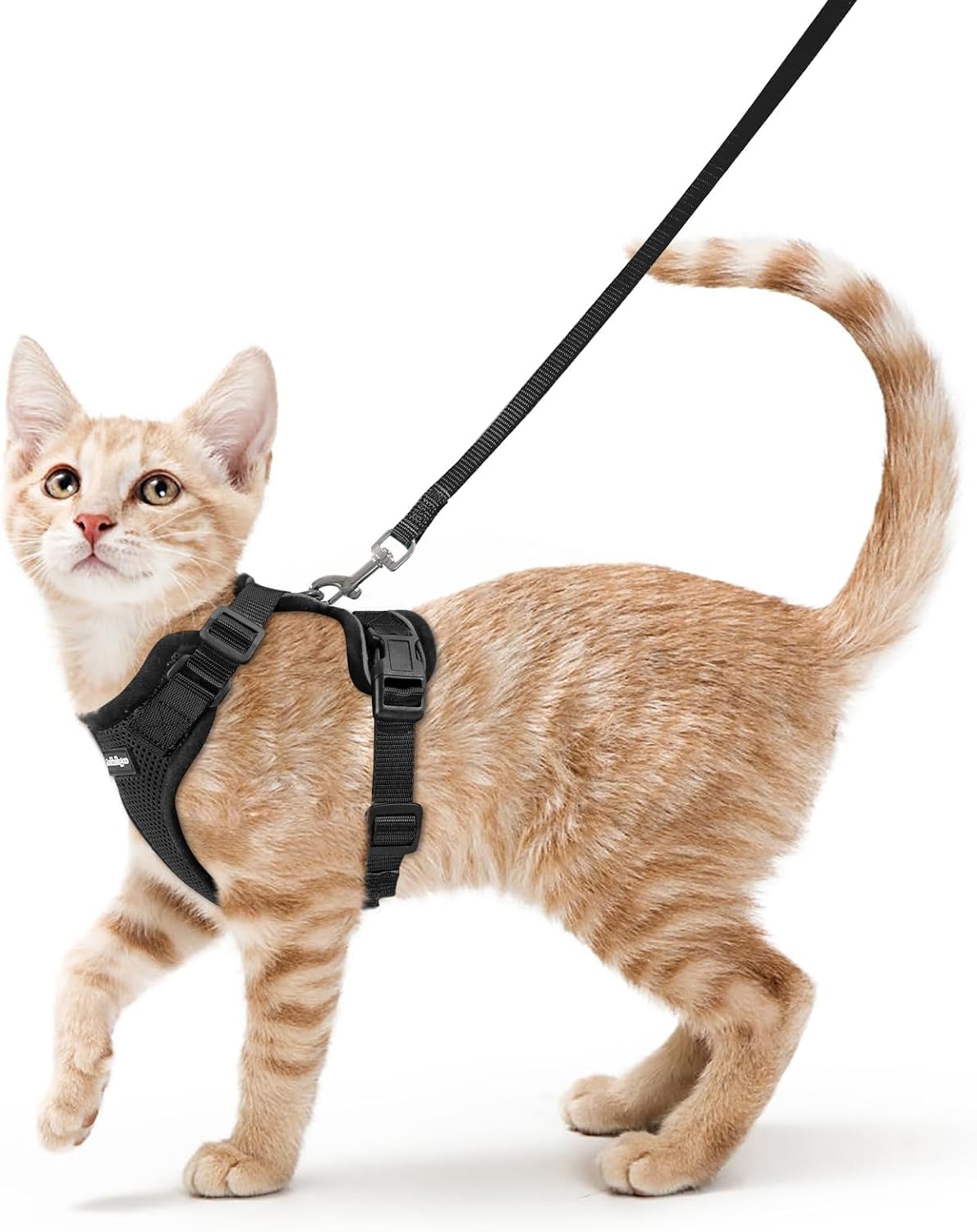 rabbitgoo Cat Harness and Leash Set, Escape Proof Vest, Black | Soft Breathable Mesh, Easy Adjustable Fit, Snap Buckles, Sturdy Clip, Reflective Strips, for Small & Average Cats Walks, Xs